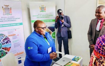 The National Designated Authority (NDA) has been part of the 2025 YouthConnekt Zambia Chapter Summit.