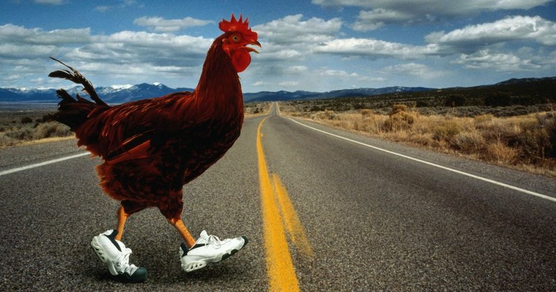 Descubre el Exclusivo Juego de Azar de Chicken Road en España